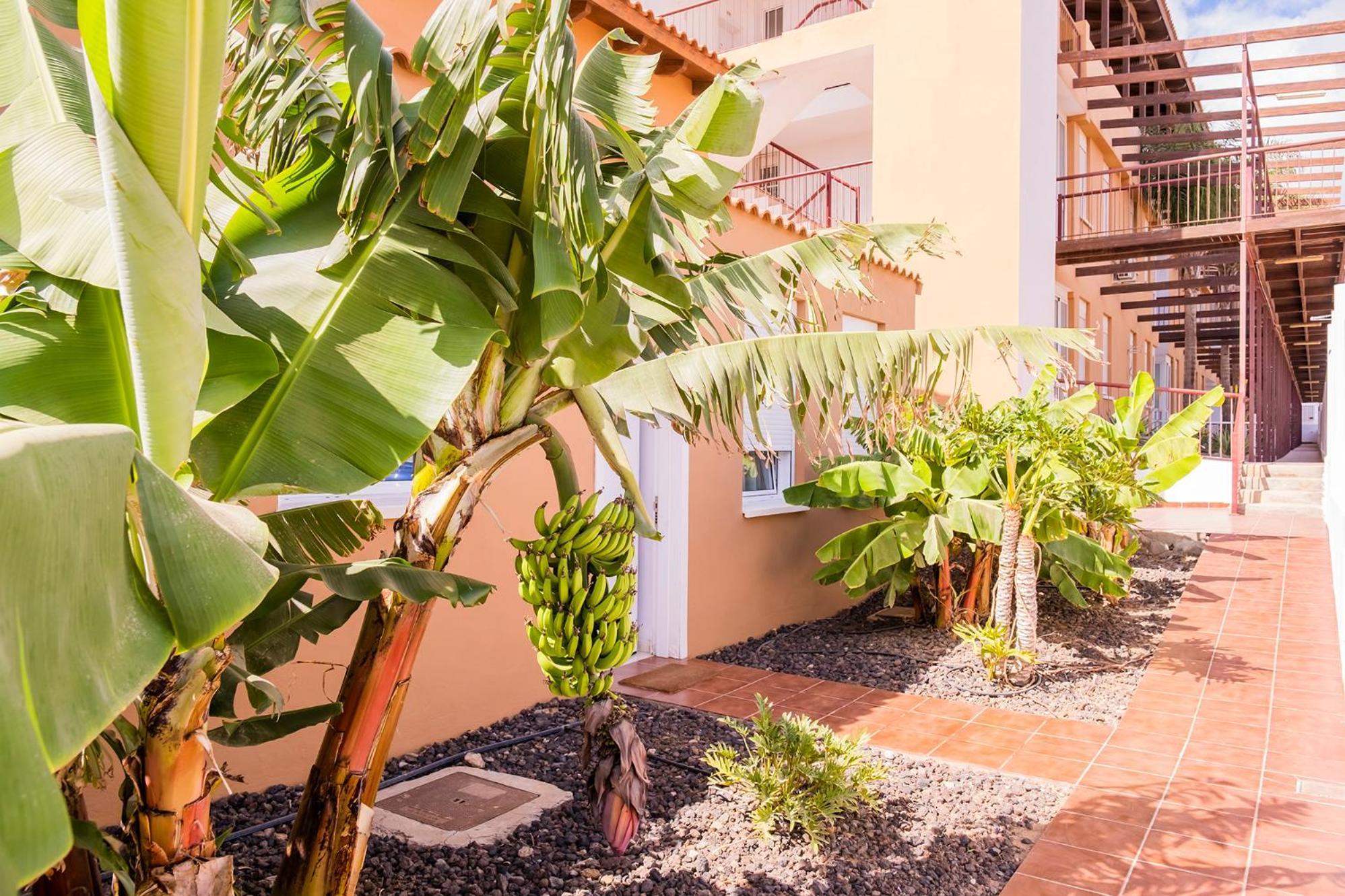 Casa Adosada La Platanera By Vive La Exclusividad Сан-Мігель-де-Абона Екстер'єр фото